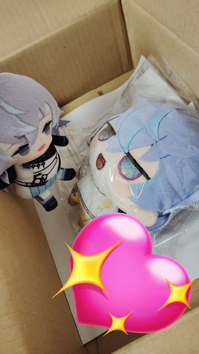 murimidaysdayo's tweet photo. 理性溶けたままお会計したぬいが届きました https://t.co/m5OIbcCPr6