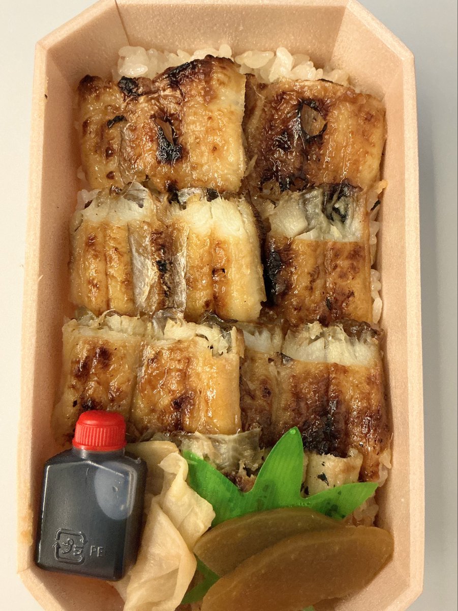 慶應井上研 (Masaki Inoue) tweet media