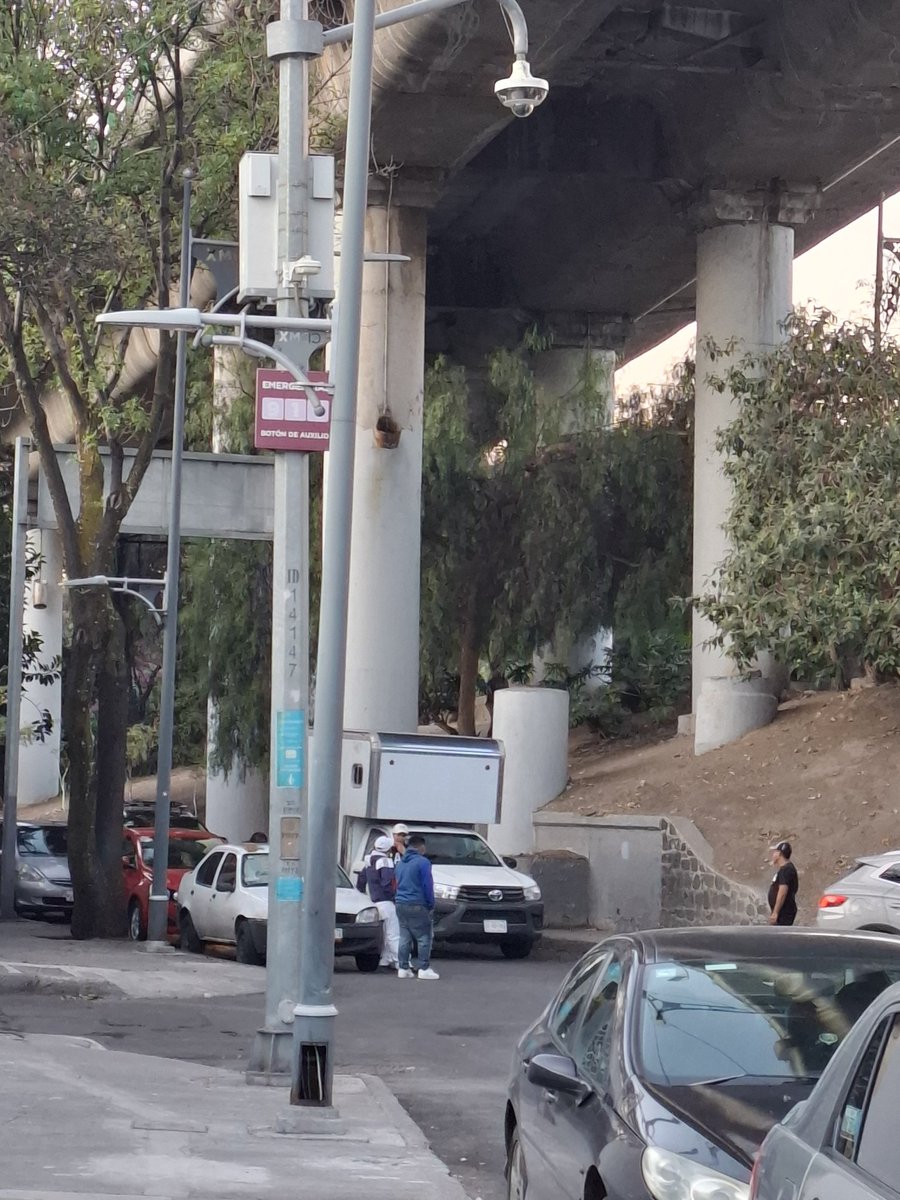 L.Gaby Belaunzarán💜💚🗺 tweet media