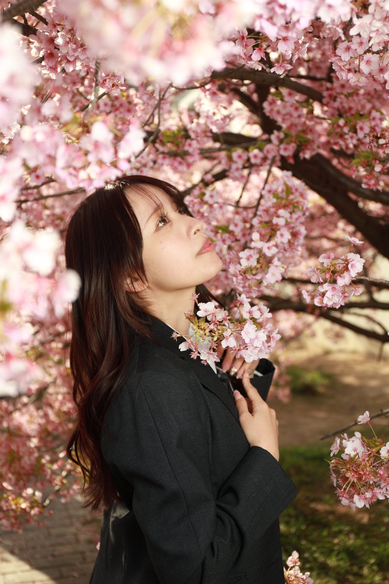 🦝ポンタ📸✨ tweet media