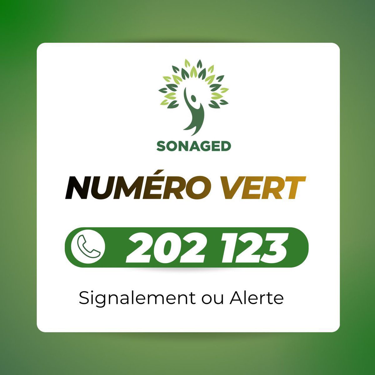 media28tv's tweet image. SONAGED : numero vert pour tout signalement ou alerte : 202 123

#sonaged #media28