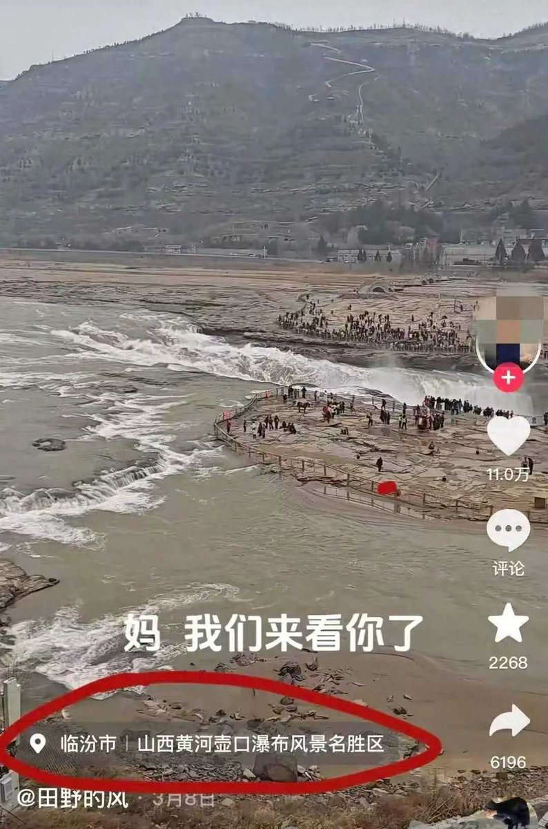 魔都老猿 tweet media