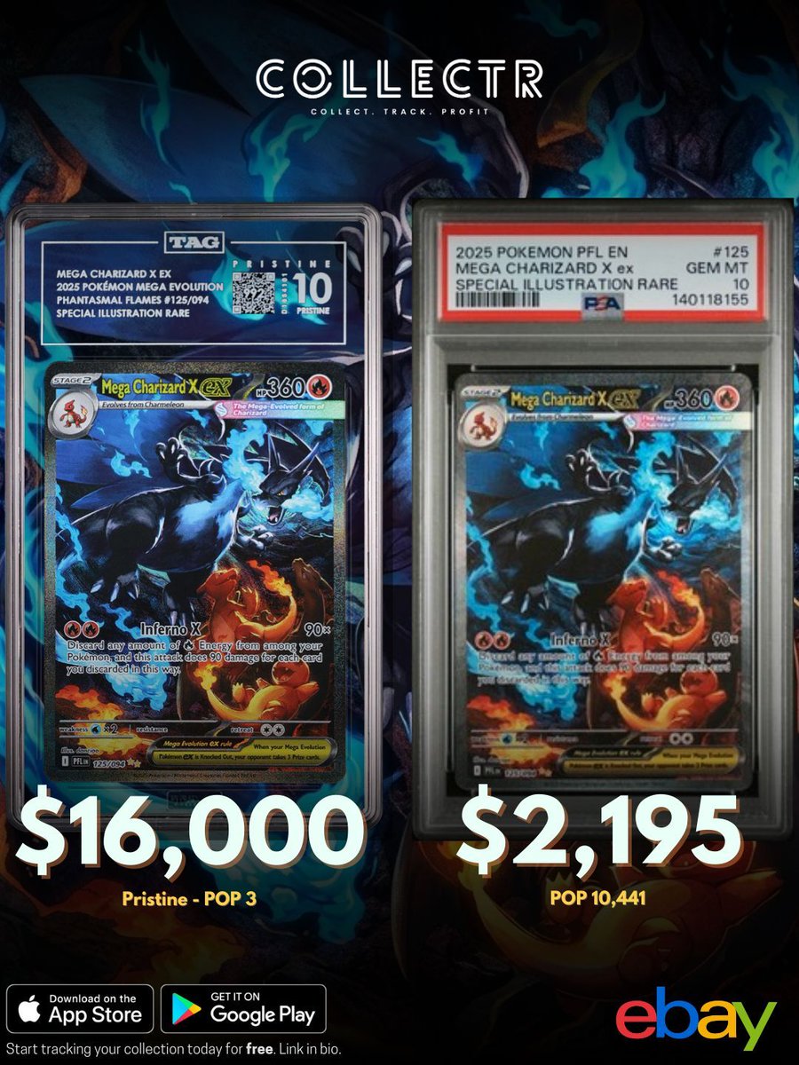 DachshundWizard 🧙‍♂️ tweet media