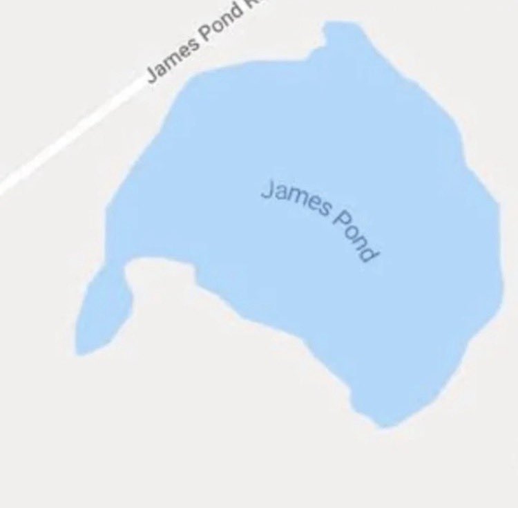 Hitchslap tweet media