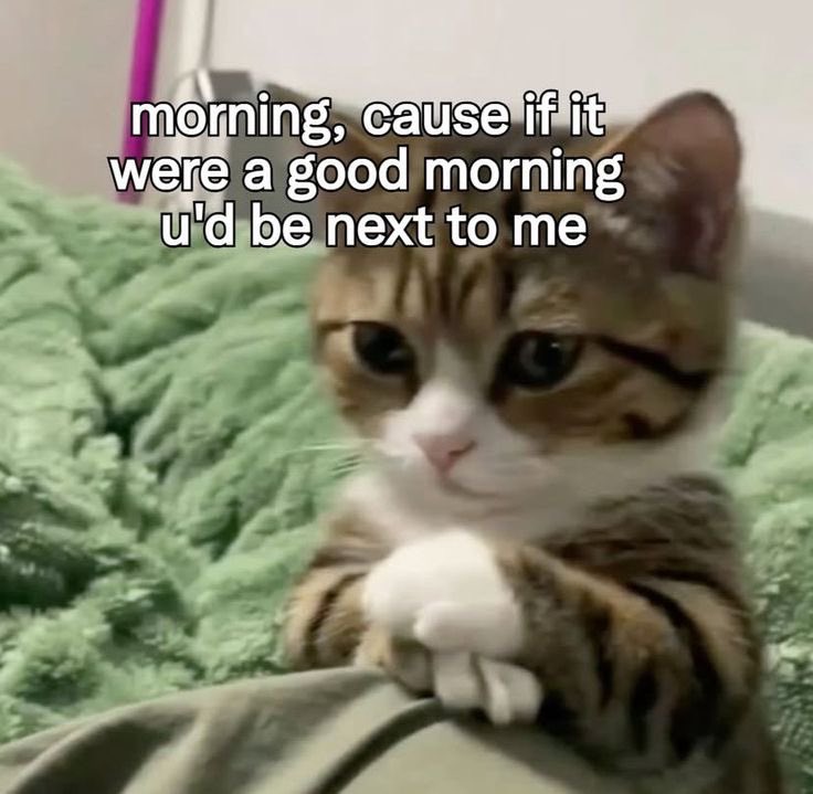 𐙚 wonyie tweet media