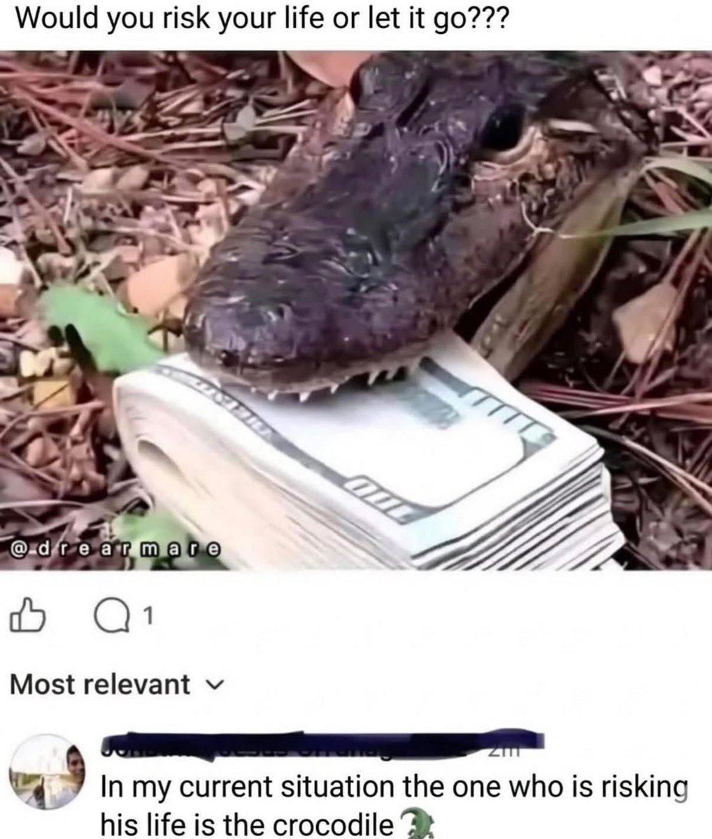 Americana Mama tweet media