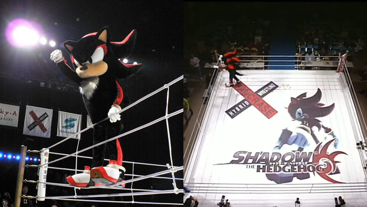 COMBAT SPORTS TODAY tweet media