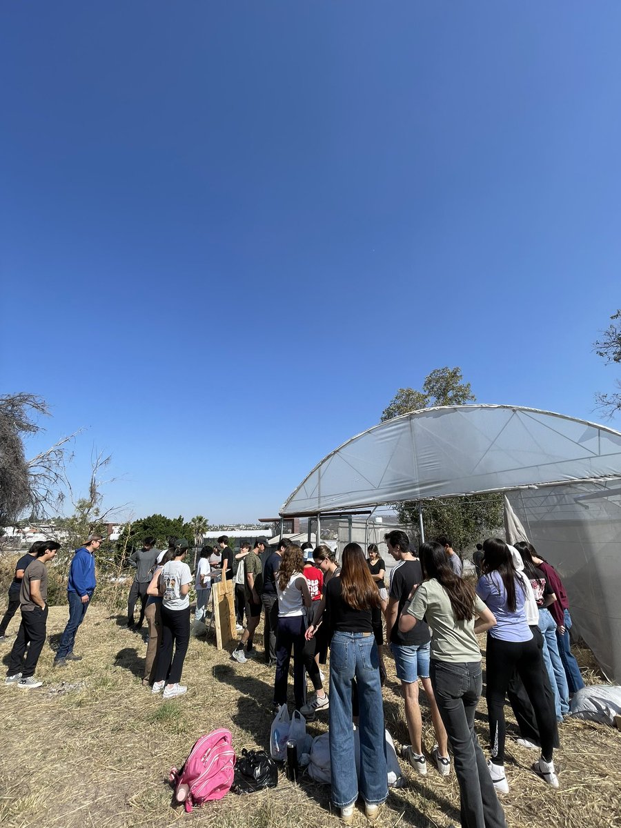 ArticuloCuarto's tweet photo. Como parte del curso de negocios sustentables de la Semana Tec del @TECcampusLEO, impartimos un taller de Pacas Digestoras Silva. 

Esta técnica se ha popularizado en Bogotá como una alternativa para realizar compostaje comunitario. https://t.co/JX41JVtwXl