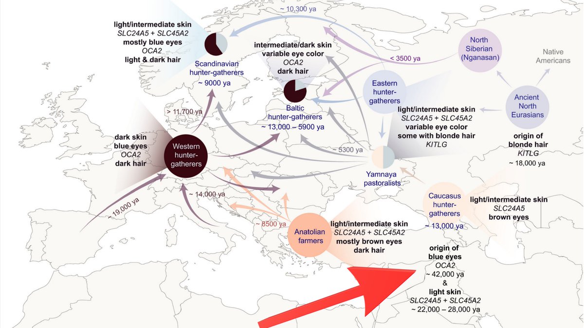 Compelling Archaeology tweet media