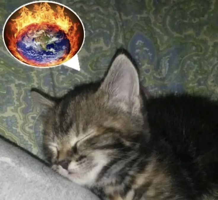 𝐁𝐞𝐧𝐲🤍 tweet media