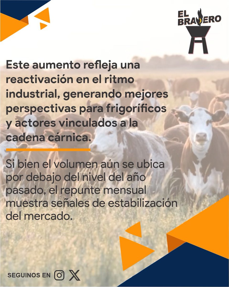 ElBraseroPy tweet media