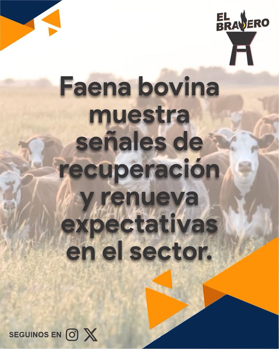 ElBraseroPy tweet media