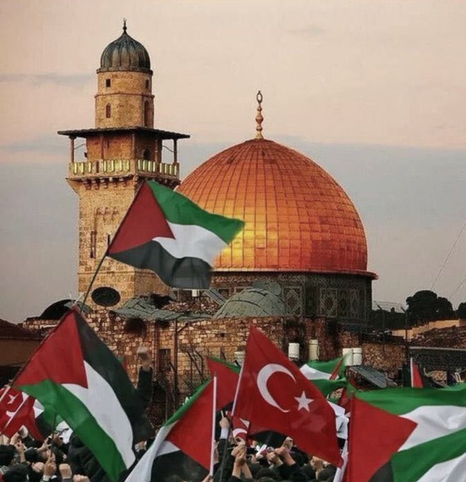 HALUK ÇAKAN tweet media