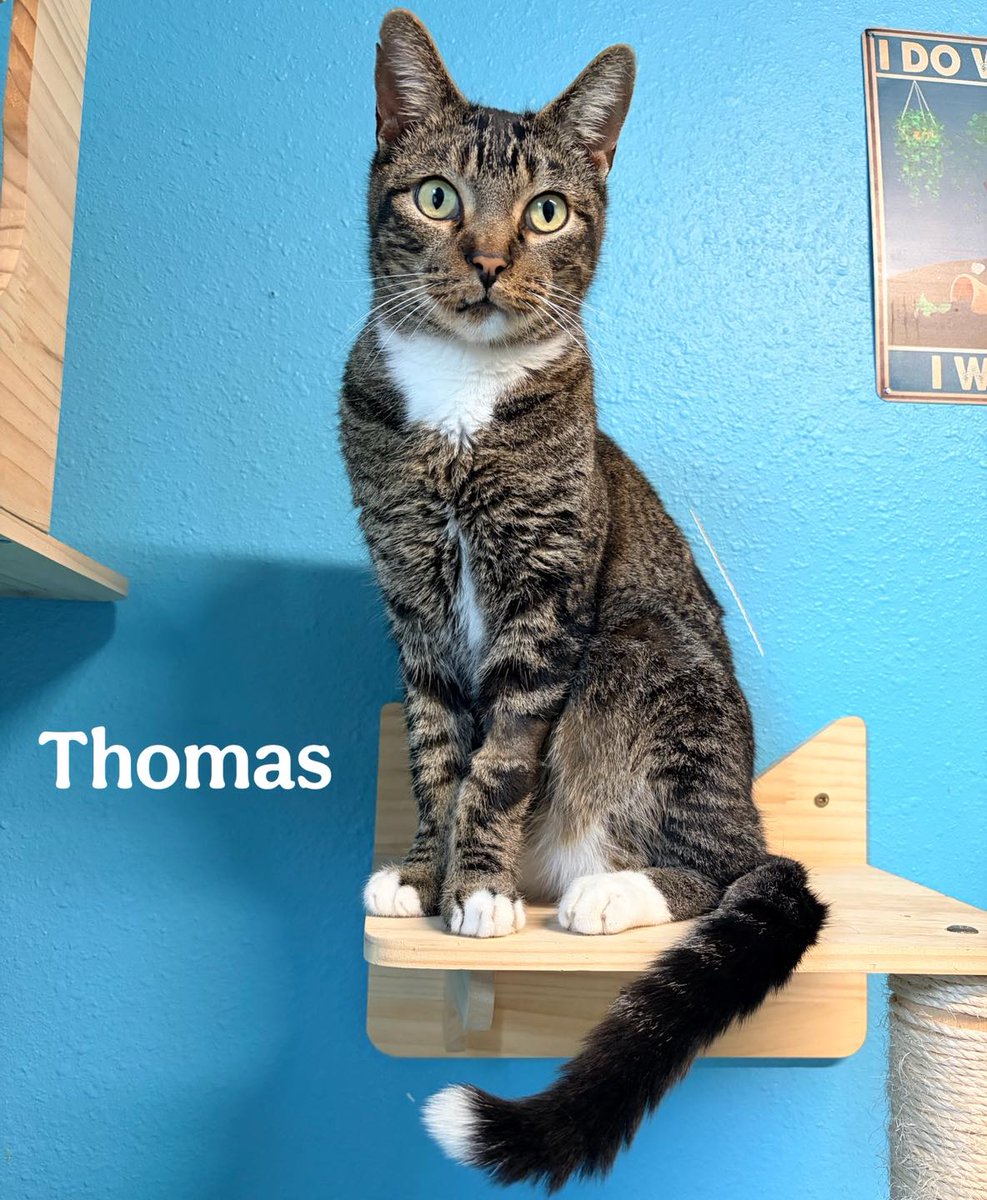 Fred Haas Country tweet media