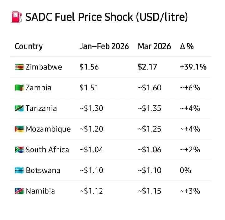Shumbakadzi👑 tweet media