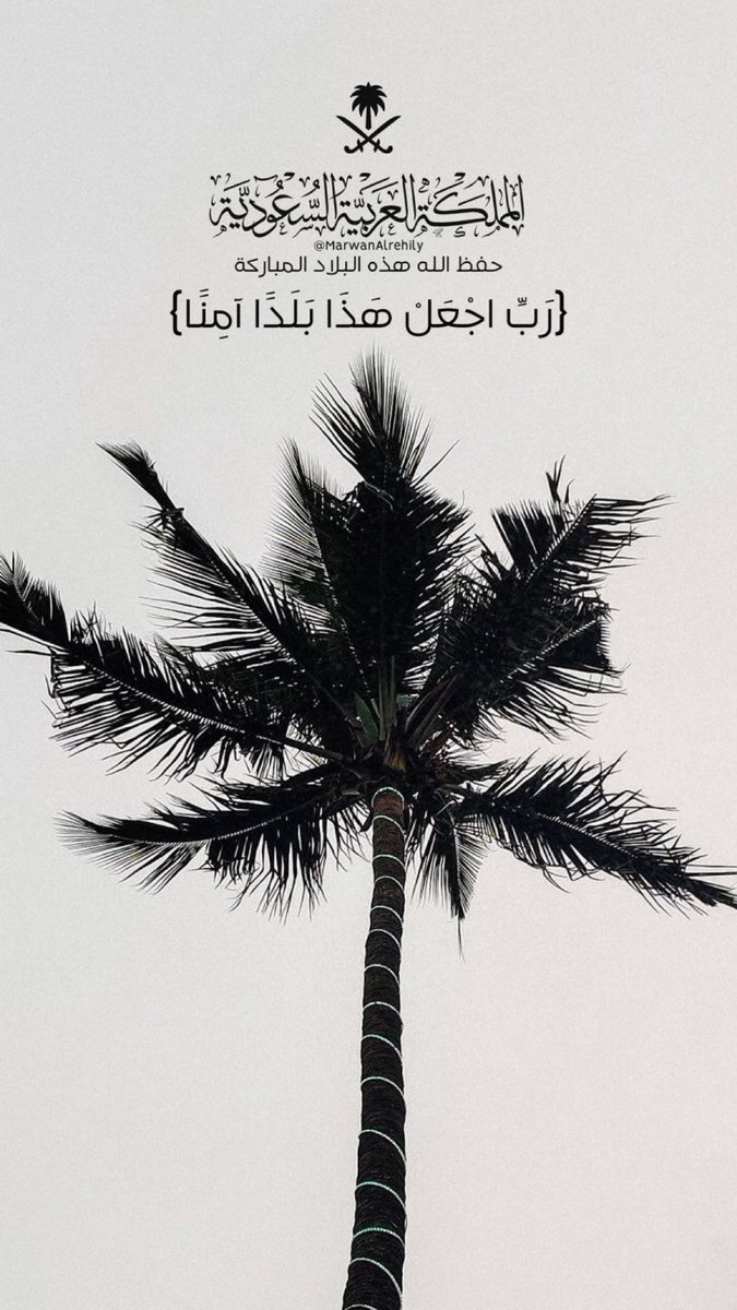 Aziz Al Shaddadi tweet media