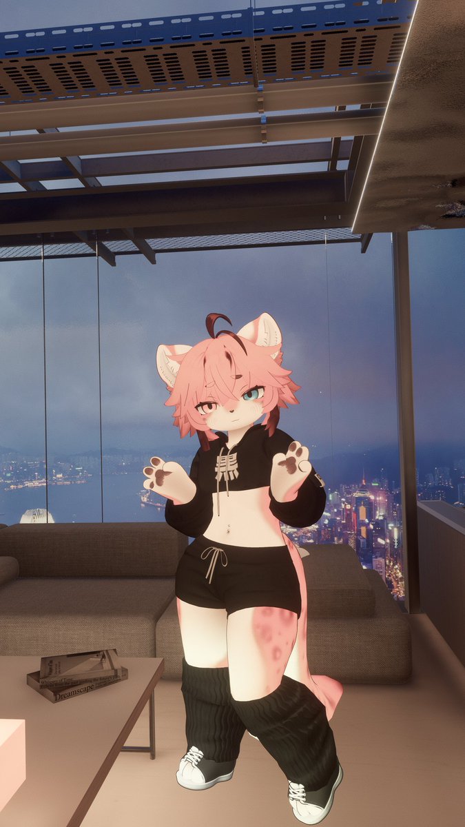 ShipyFhy tweet media