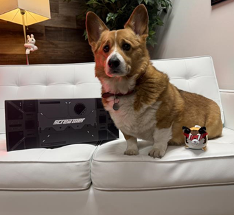 PLAION Americas😎 tweet media