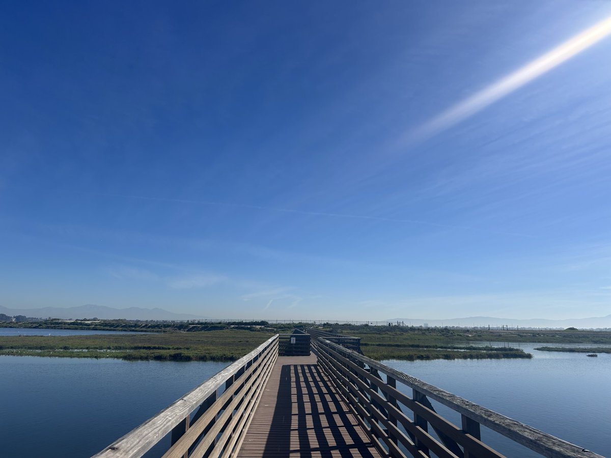 Bolsa Chica Wetlands, OC