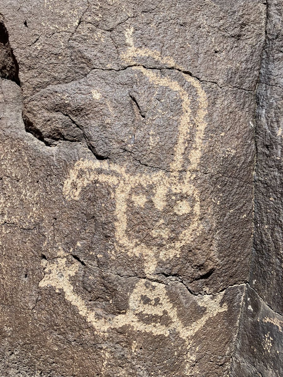 Gregory L Little, Ed.D. tweet media