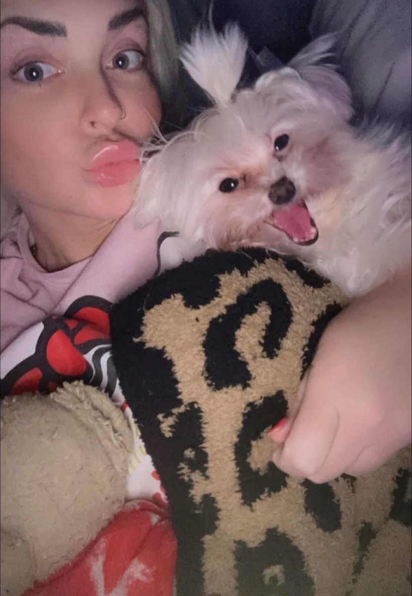 r3dwhiteblonde's tweet image. Happy 4th birthday to our rescue baby! We love you, Casper! 🐾 #rescuedog #dogmom #morkie