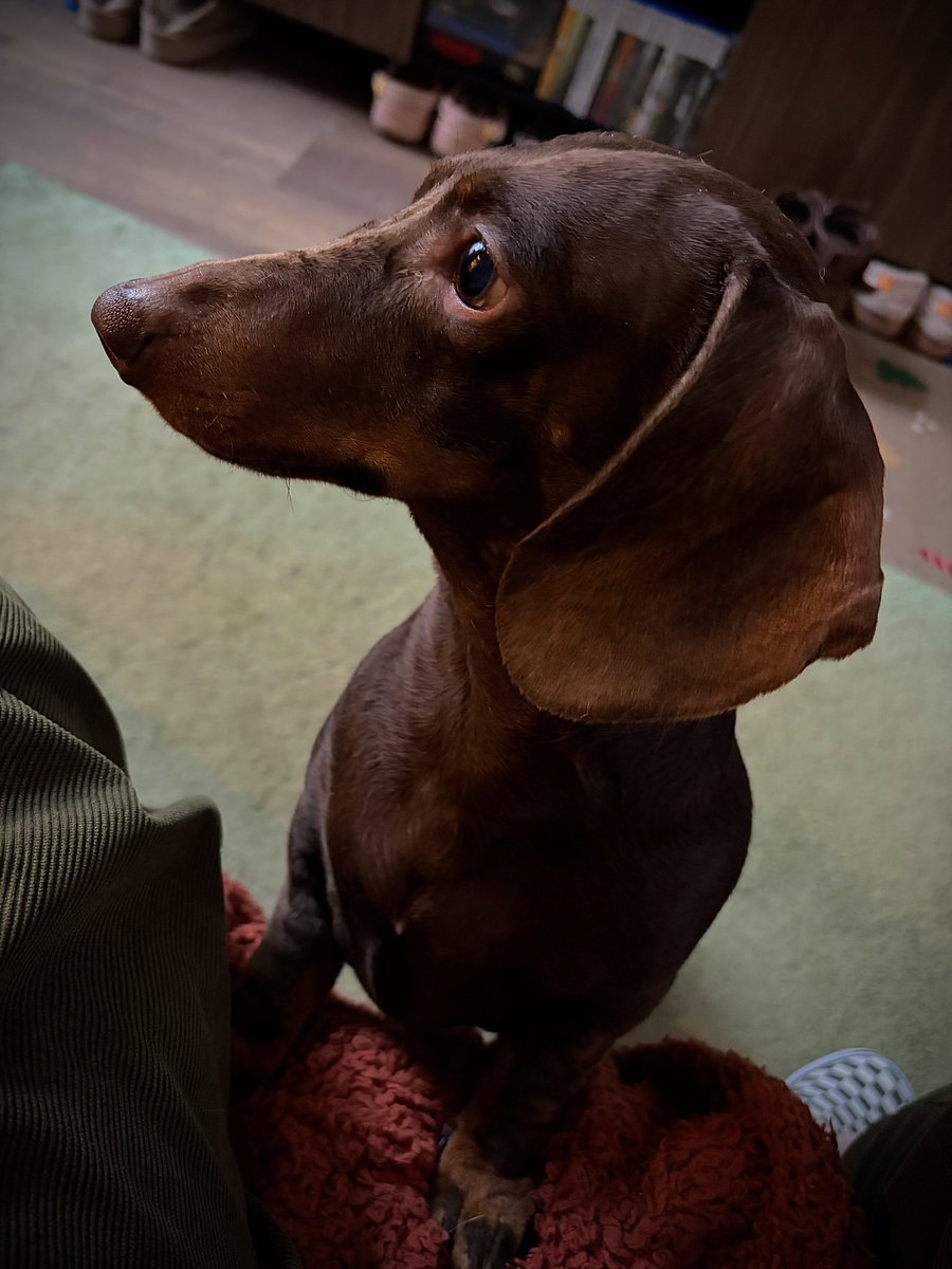 𝕊𝕥𝕒𝕔𝕖 👑 tweet media