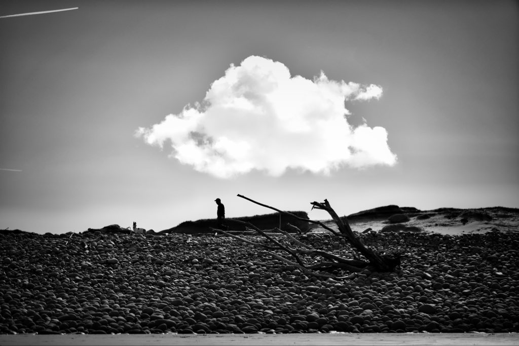 thisdevon tweet media