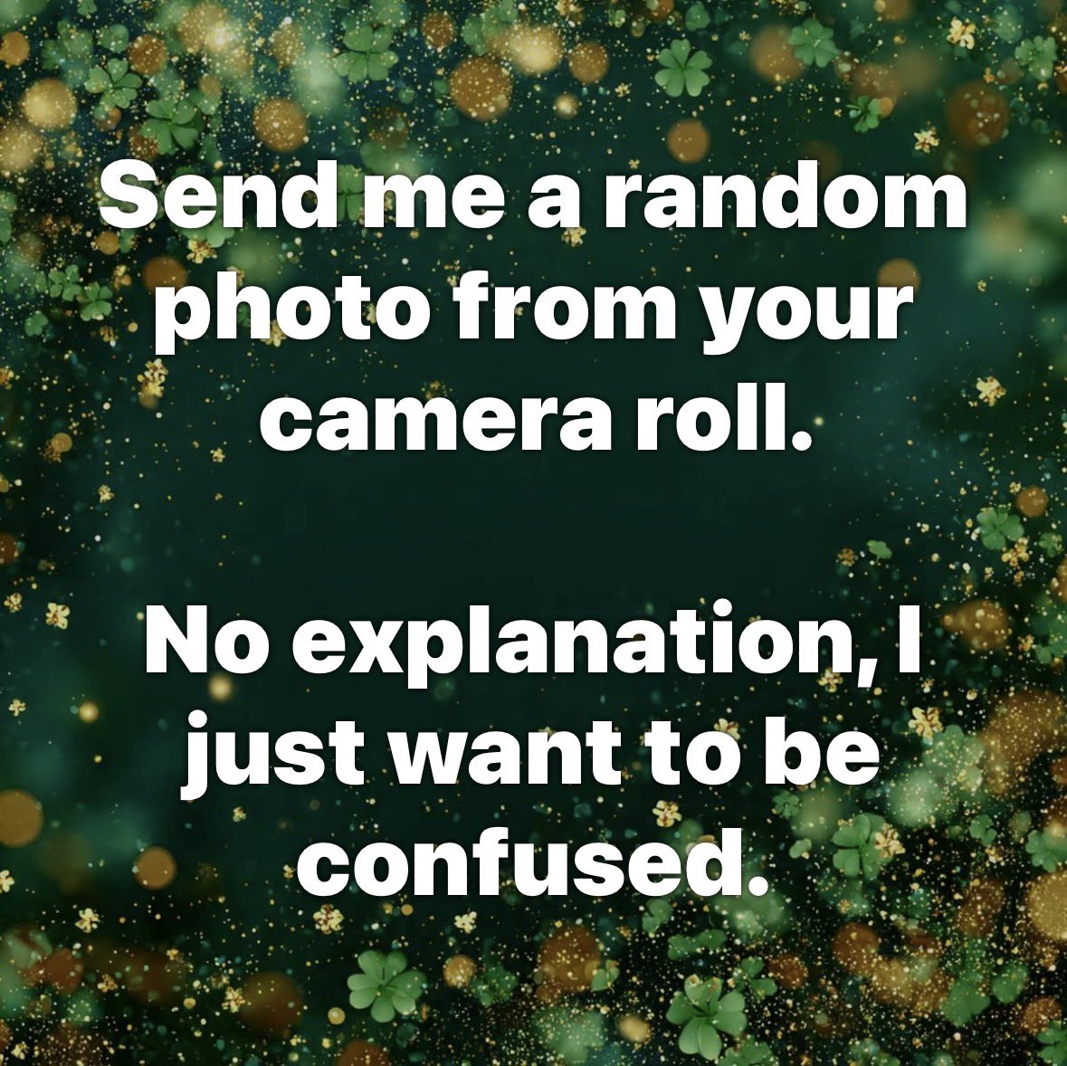 DK🇺🇸🦅🇺🇸 tweet media