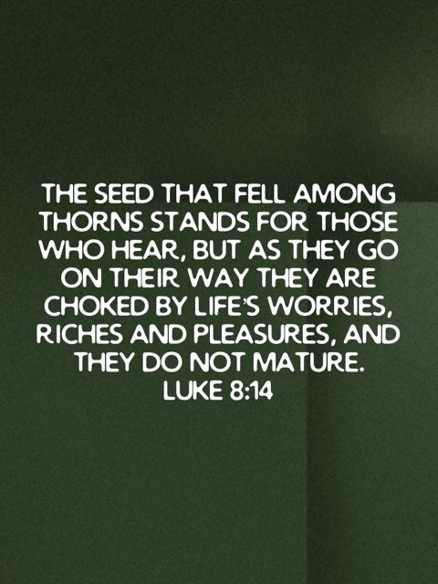 Ryan Rhoades tweet media