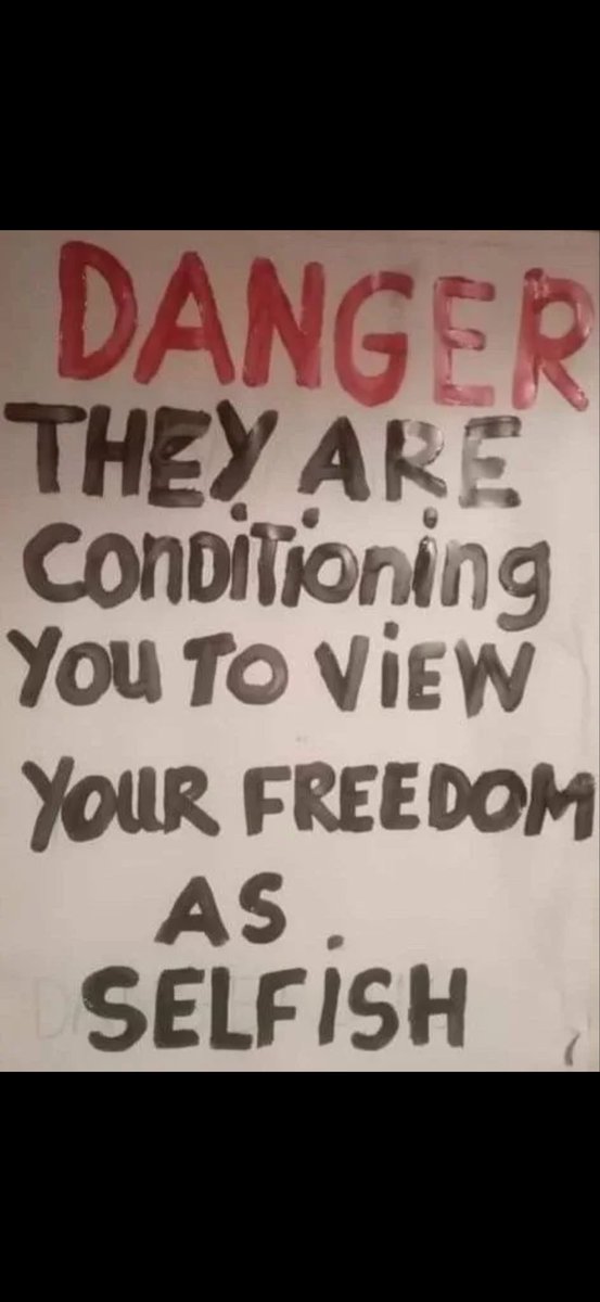 Primrose tweet media