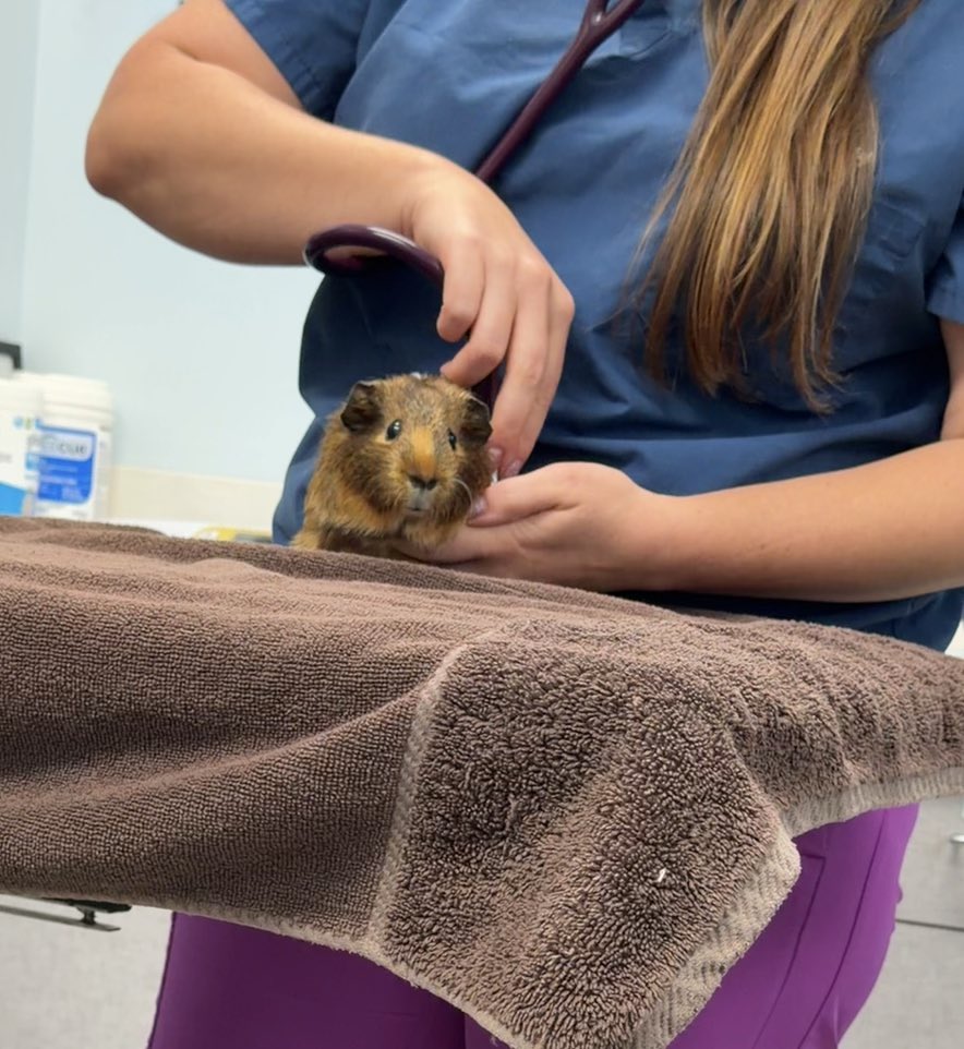 monica ♡ tweet media