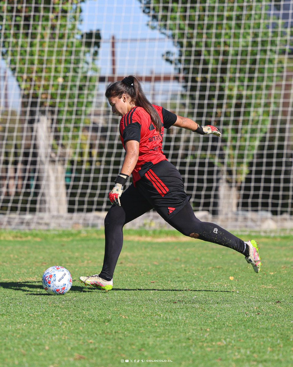 Colo-Colo Femenino tweet media