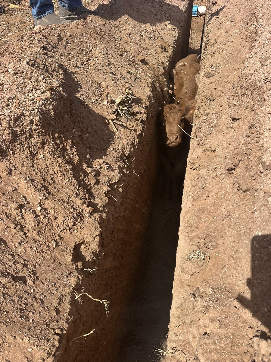 ClayGraves©️🇺🇸🌵 tweet media