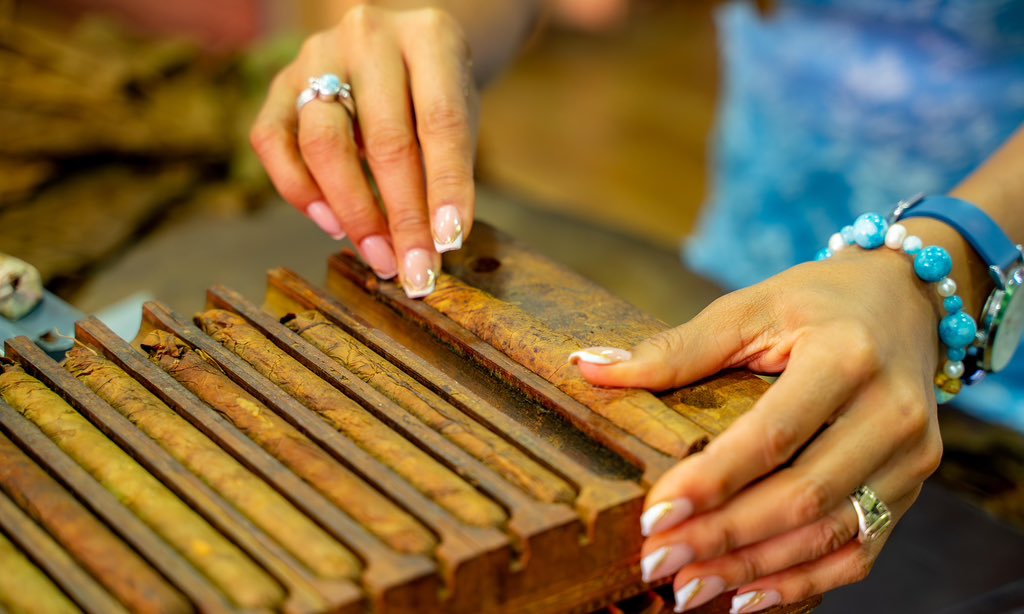 Instituto del Tabaco (INTABACO) tweet media