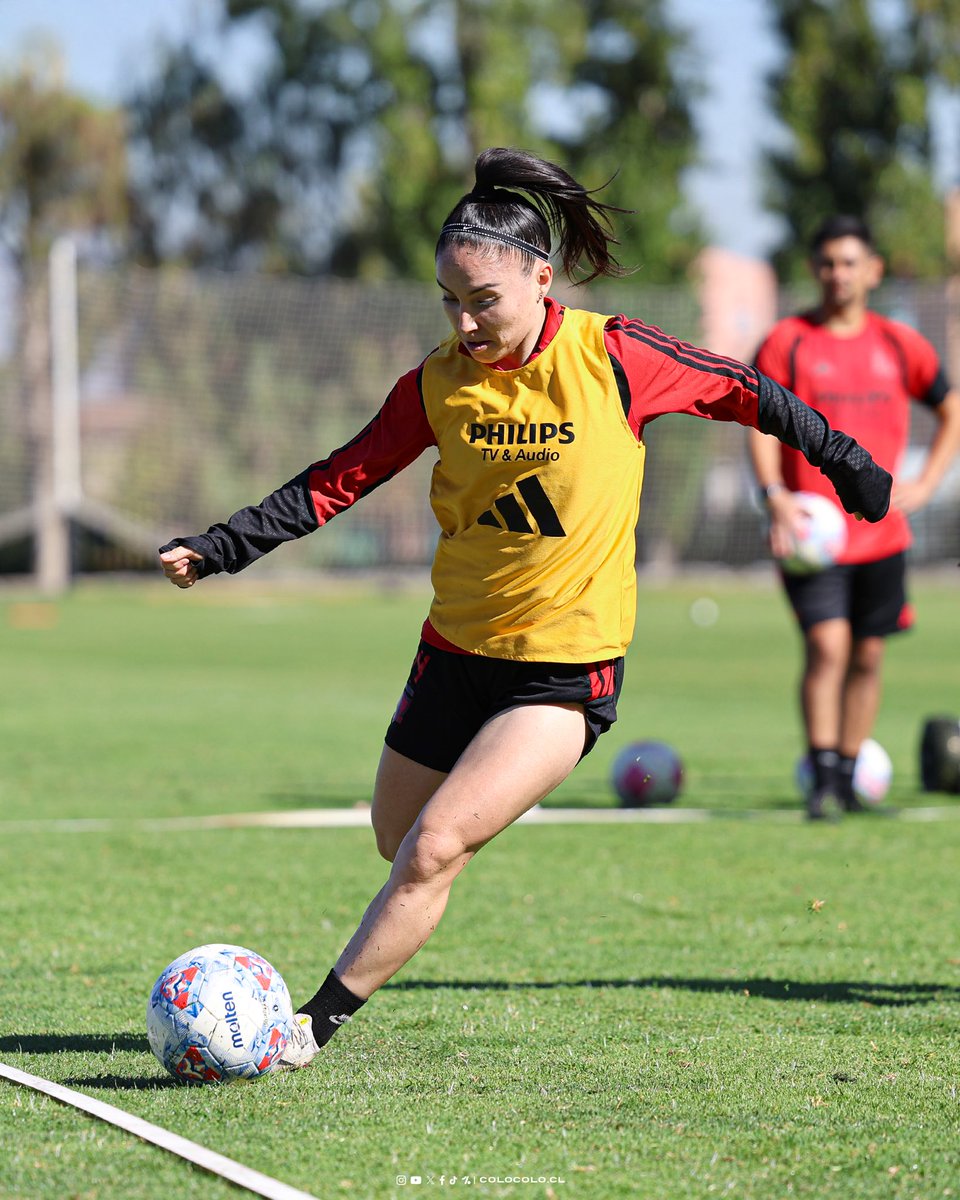 Colo-Colo Femenino tweet media