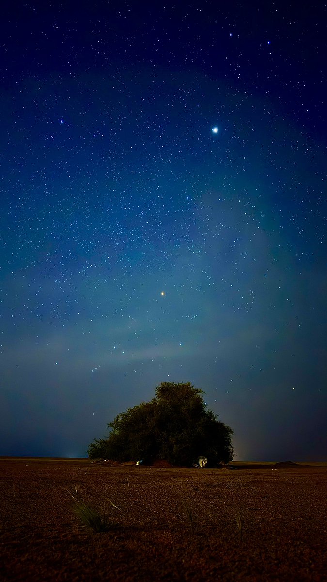 فتران tweet media