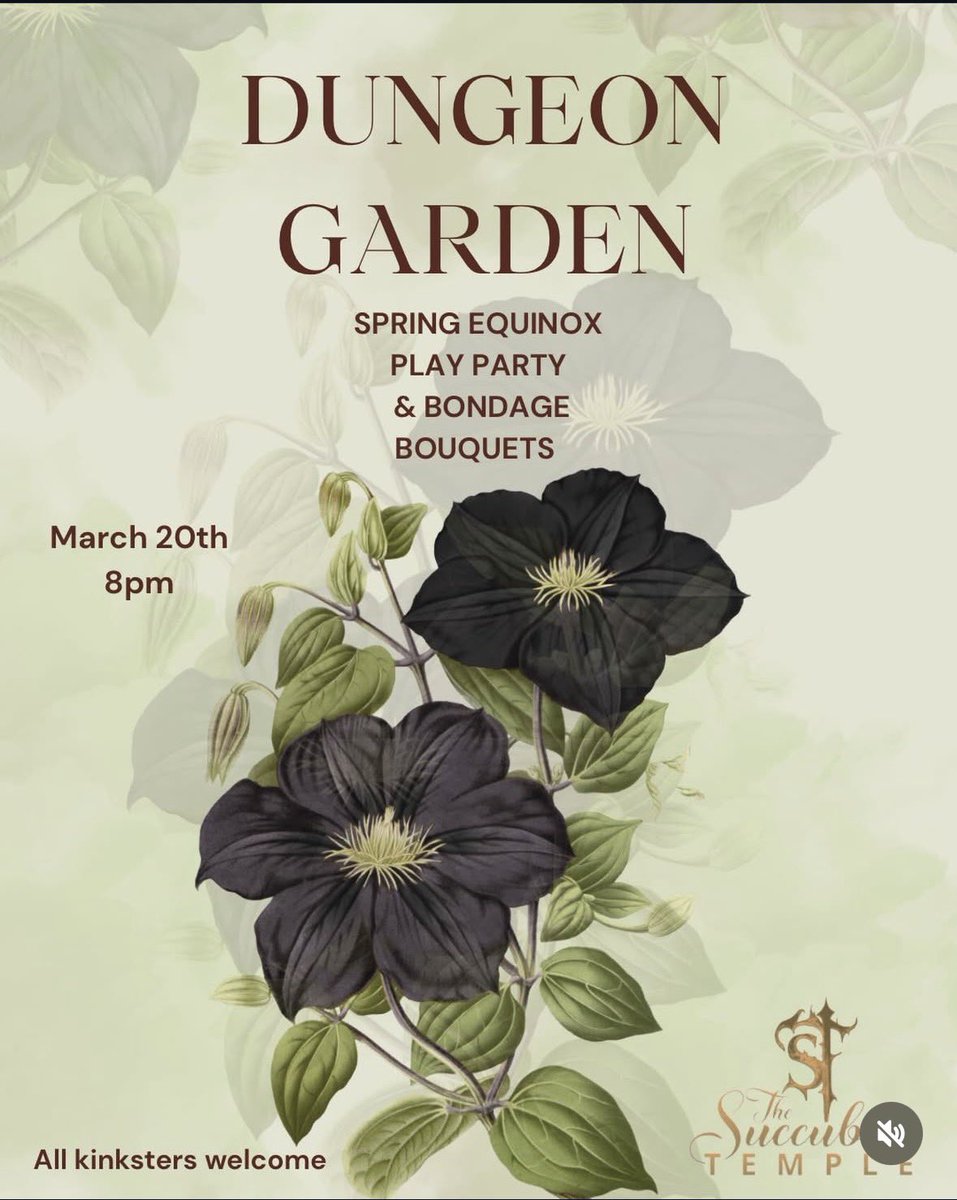 Mistress Bones tweet media