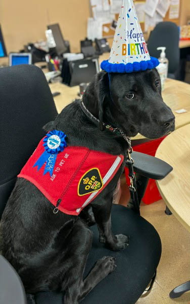 OPP West Region tweet media