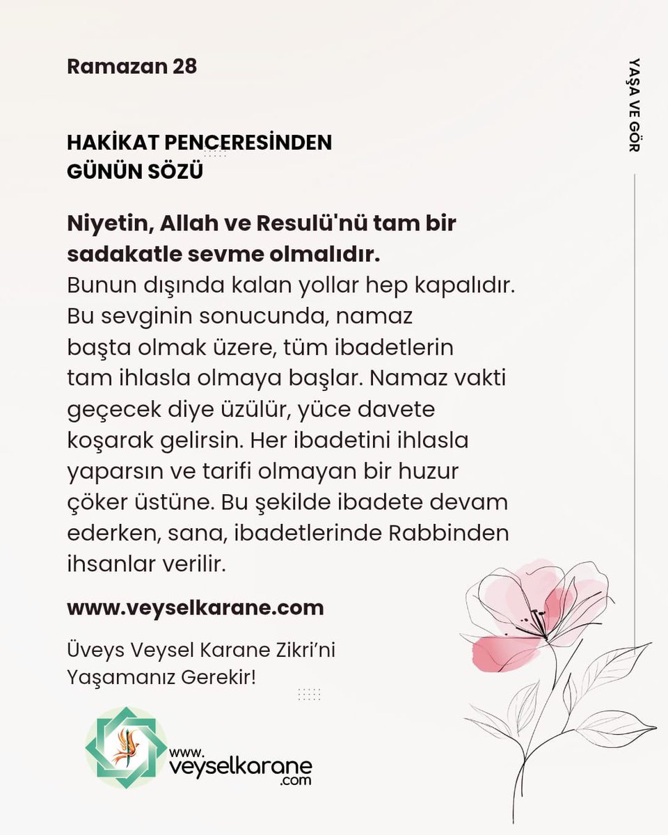 Özlem Okul tweet media