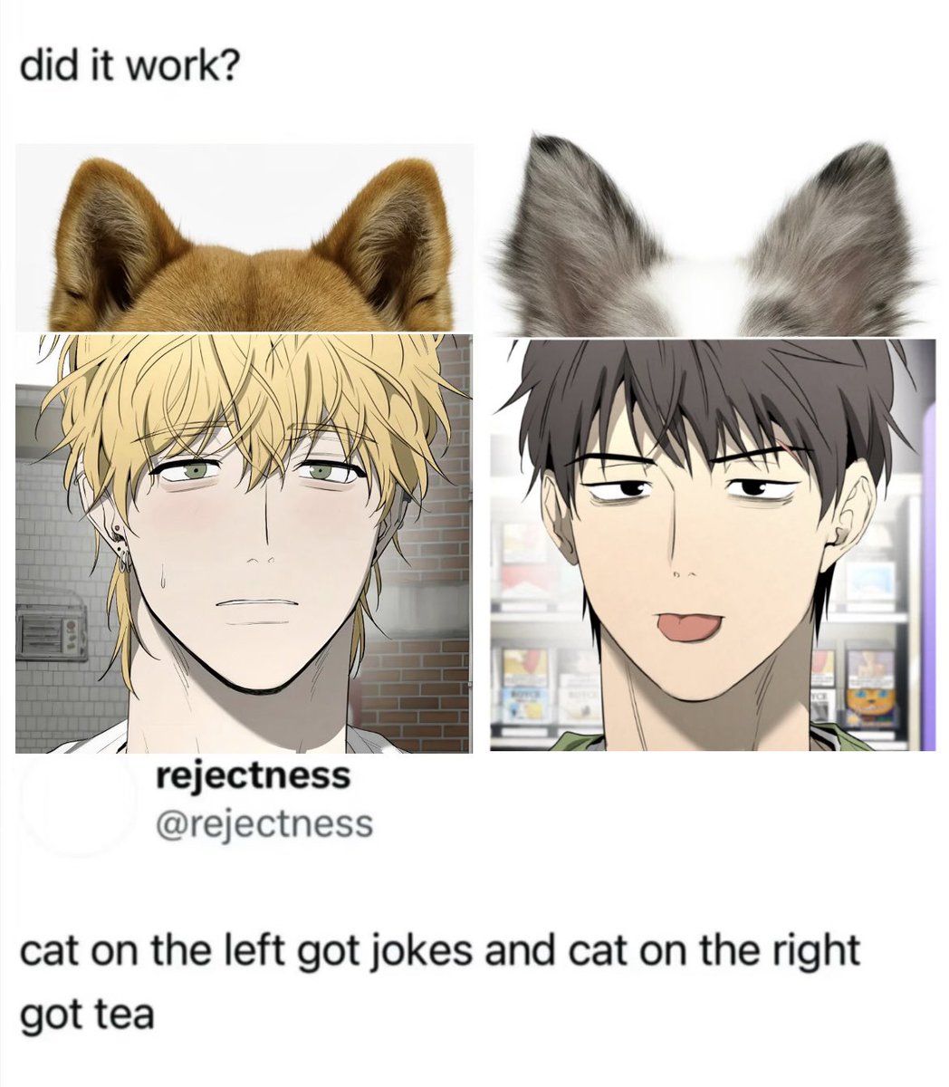 so oya aa tweet media