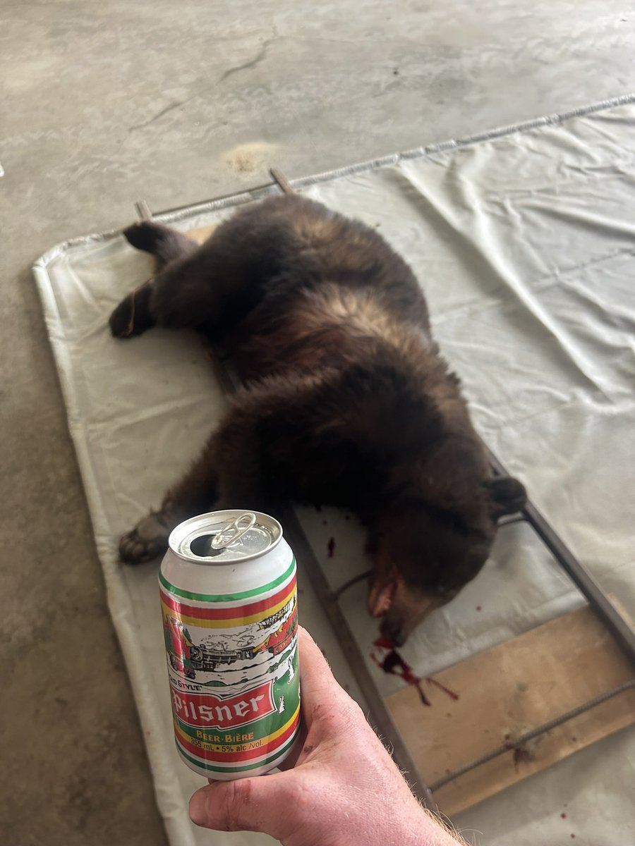 connor johnson tweet media