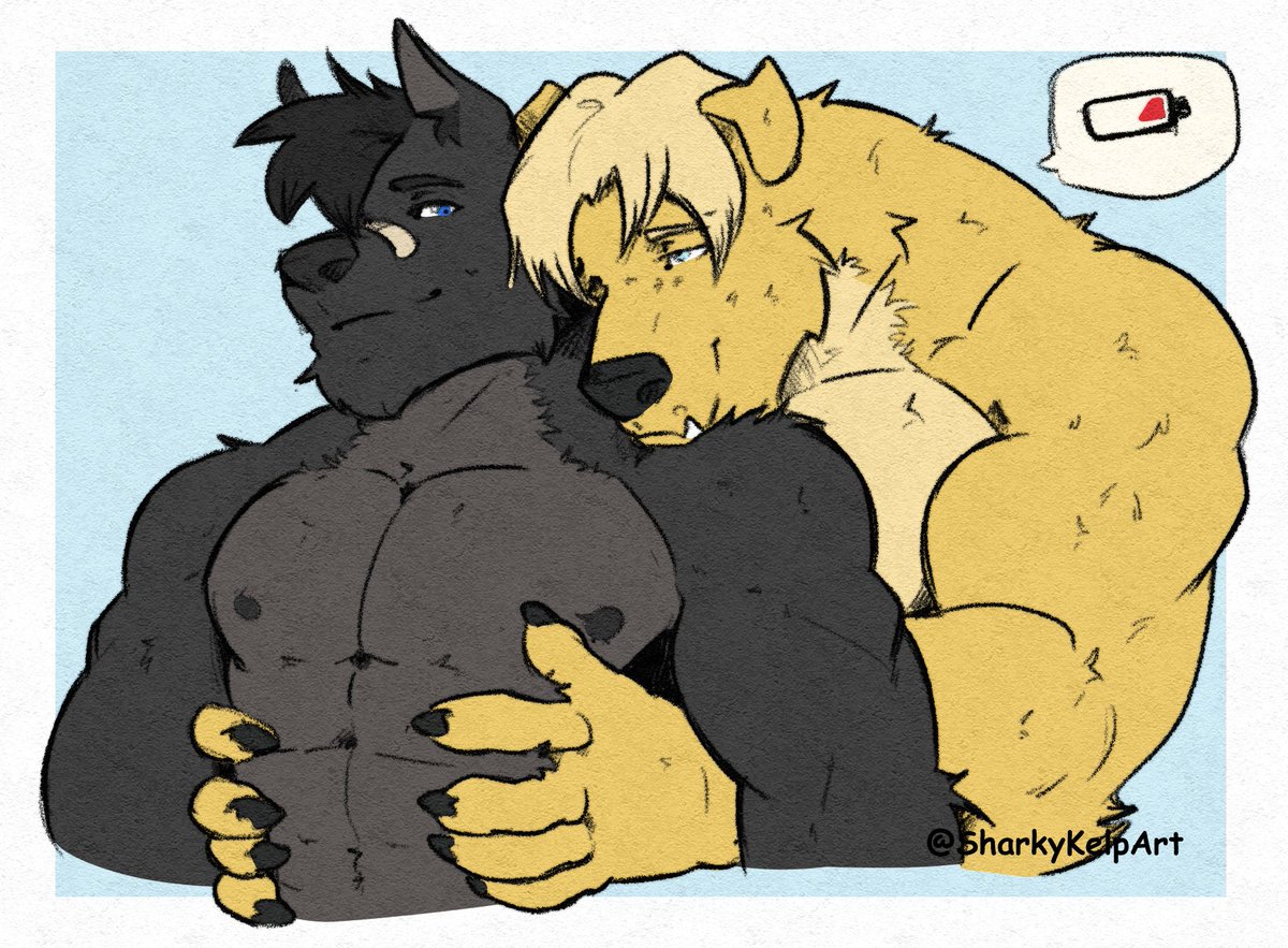 Sharky Kelp tweet media