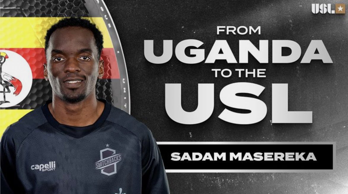 Dan Lucas tweet media