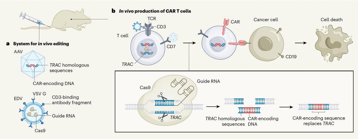 Justin Eyquem tweet media