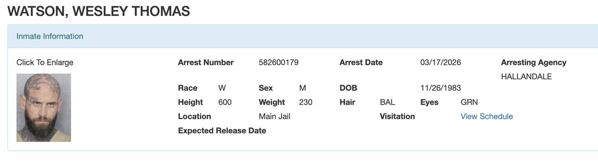 AF Stream Watch tweet media