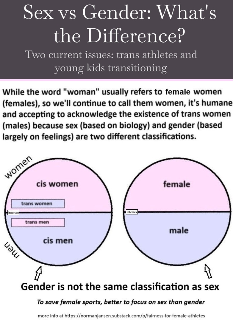 Norman Jansen tweet media