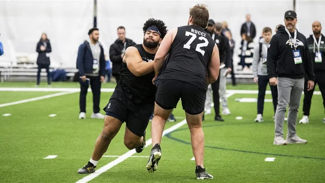 Lions247 tweet media