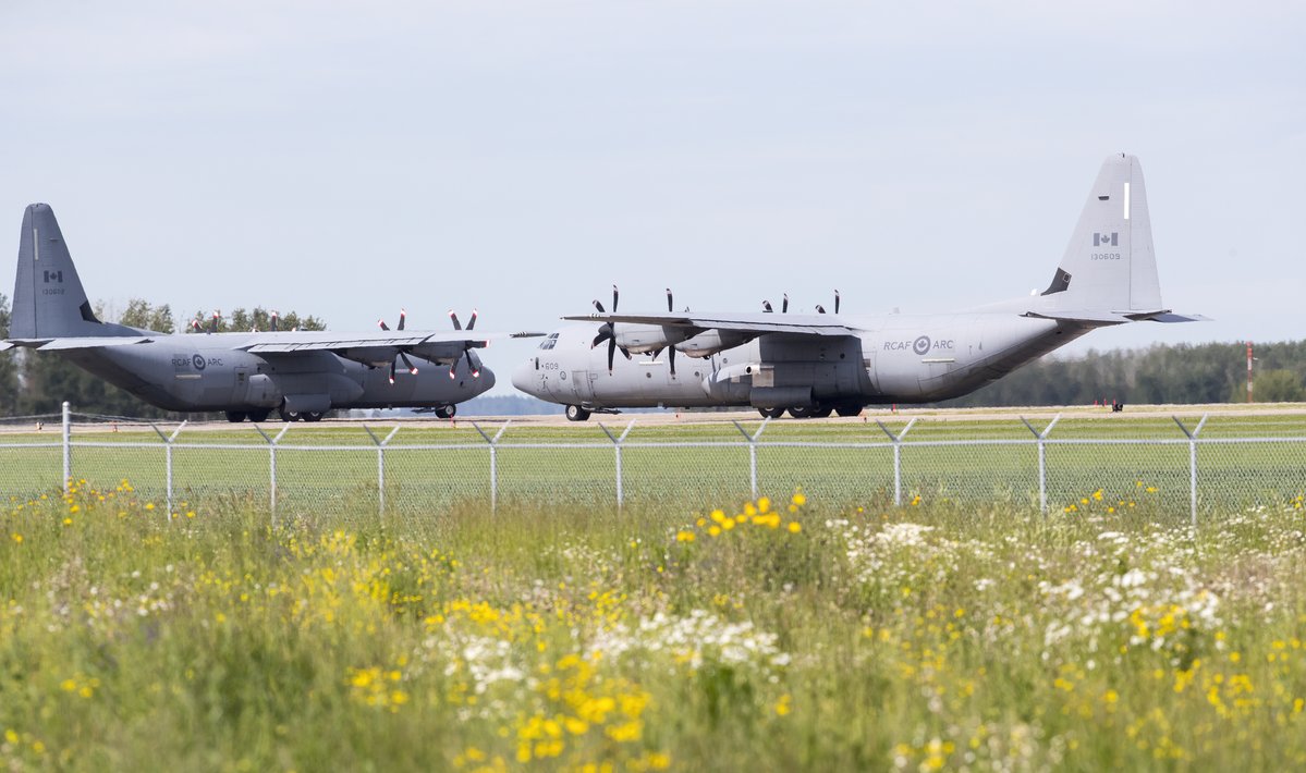 Runway Girl tweet media