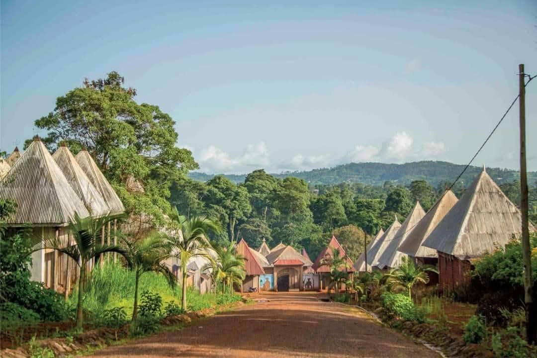 Extracts tweet media