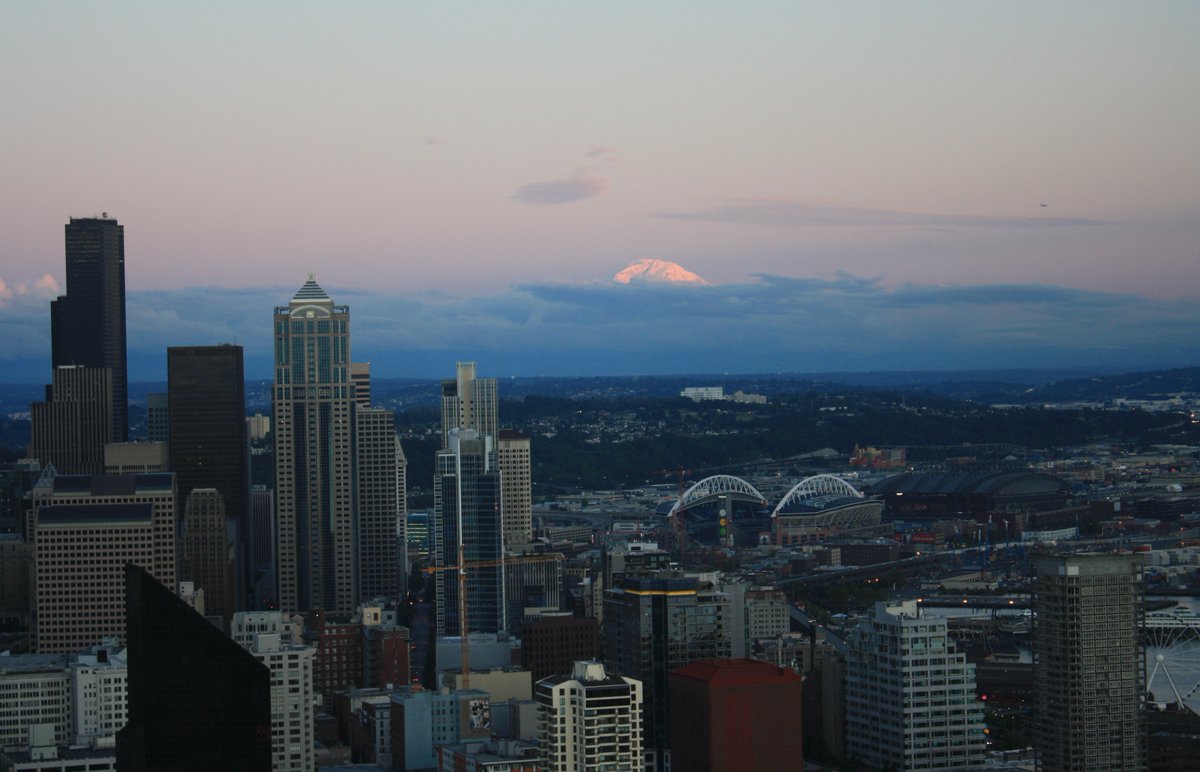 Stephen Garone tweet media